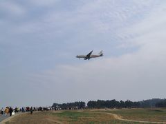 -空港花田景区