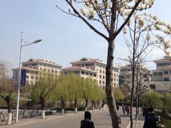-中国海洋大学（崂山校区）-游泳馆