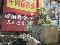 -阿欢牛肉店·火锅·粿条面