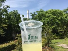 -1点点(国浩长风城商业广场店)