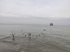 -刘公岛景区