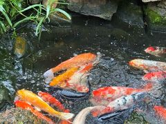 -桃花涧