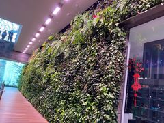 -樟宜机场免税店