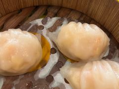 -顺峰(阜成店)