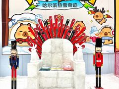 -哈尔滨热雪奇迹