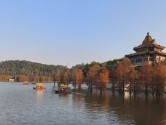 -顺峰山公园