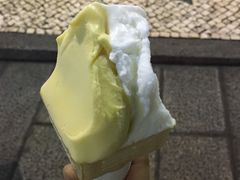 -柠檬车露(卖草地店)