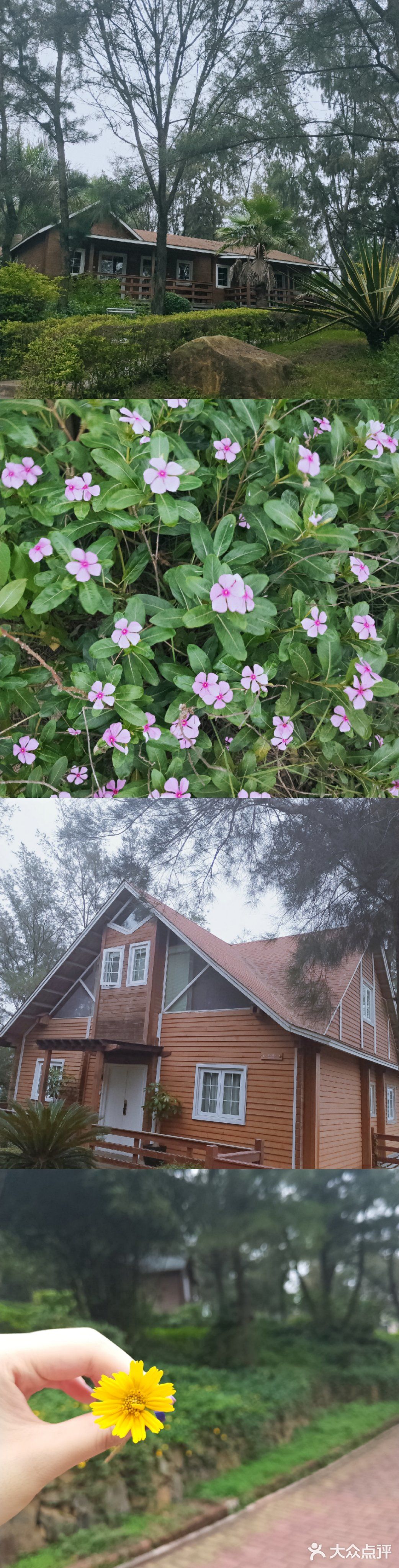 这边的大海比厦门的海更美