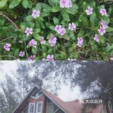 这边的大海比厦门的海更美