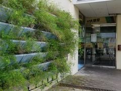 -大埔公路-马料水段香港中文大学(公交站)