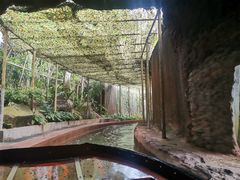 -河川生态园