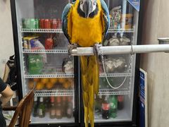 -观桥阁(锦溪店)