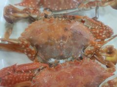 -老字号蛇口德记烧腊饭店·海鲜加工