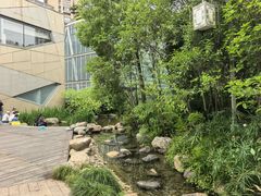 -活水公园