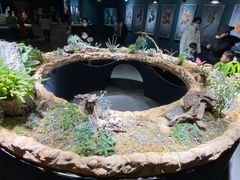 -南宫五洲植物乐园