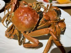 -禾斗海鲜自助(城阳宝龙店)