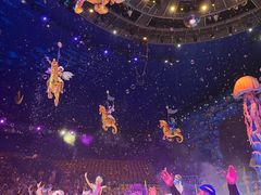 -海合安武汉极地海洋公园
