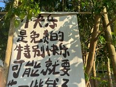 -飞凤山奥体公园