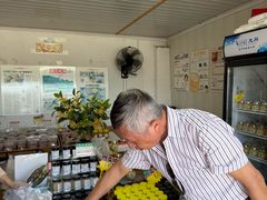 -苏州市吴中区光福窑上花果蜜饯厂