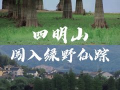 -四明山国家森林公园
