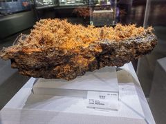 -湖南省地质博物馆