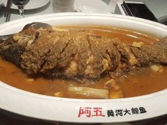-阿五黄河大鲤鱼(英协路店)