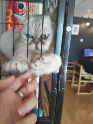 点击看大图 -英刺青 纹身 洗纹身