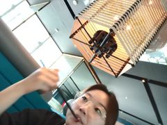 -凤凰湘语·湘粤鲜融(浦东旗舰店)