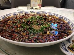 -新概念来凤鱼(璧山店)