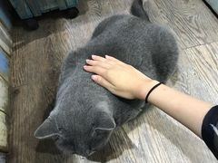-小时光咖啡馆(开森度假森林店)