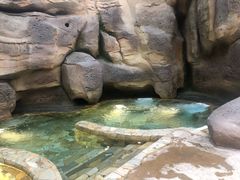 -杭州开元森泊度假乐园