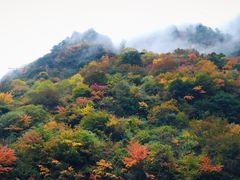 -孟屯河谷景区