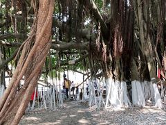 -胡里山炮台