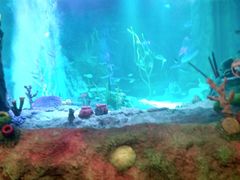 -沈阳海洋探索中心