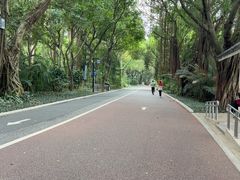 -南宁南湖公园