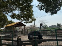 -苏州太湖西山岛开心农场