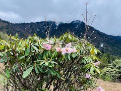 -硗碛藏寨·神木垒景区