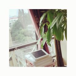 -悦妍韩式半永久纹眉纹绣