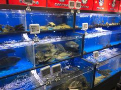 水产区-盒马鲜生(双清路店)