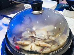 -半岛听涛蒸汽海鲜自助(K11店)