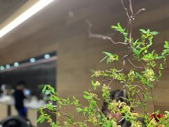 -山下C5cafe(惠通时代广场店)