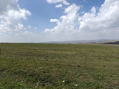 -白老大羊杂碎稍麦