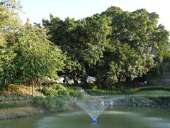 大旗头村-大旗头古村