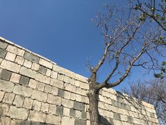 -牛背梁国家森林公园