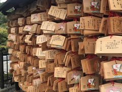 -有栖山 清光院 清水寺