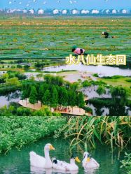 -水八仙生态园