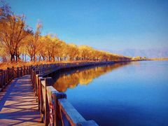 -野鸭湖国家湿地公园