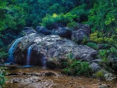 -南海湾森林生态园