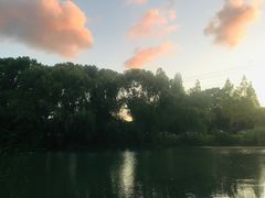 -梁鸿国家湿地公园