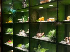 -慢丽江·云南野生菌土鸡锅(西山店)